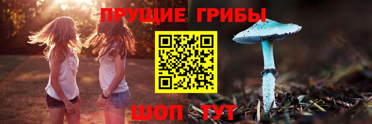 Каменка  Псилоцибиновые грибы мицелий  Вход с VPN 